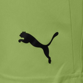 Puma teamLiga Shorts  Fizzy Lime/Black