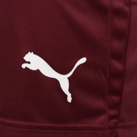 Puma teamLiga Shorts Burgundy/White