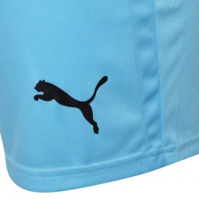 Puma teamLiga Shorts Blue Atoll/Black