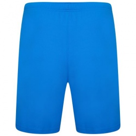Puma teamRise Shorts Electric Blue