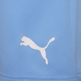Puma teamRise Shorts Light Blue