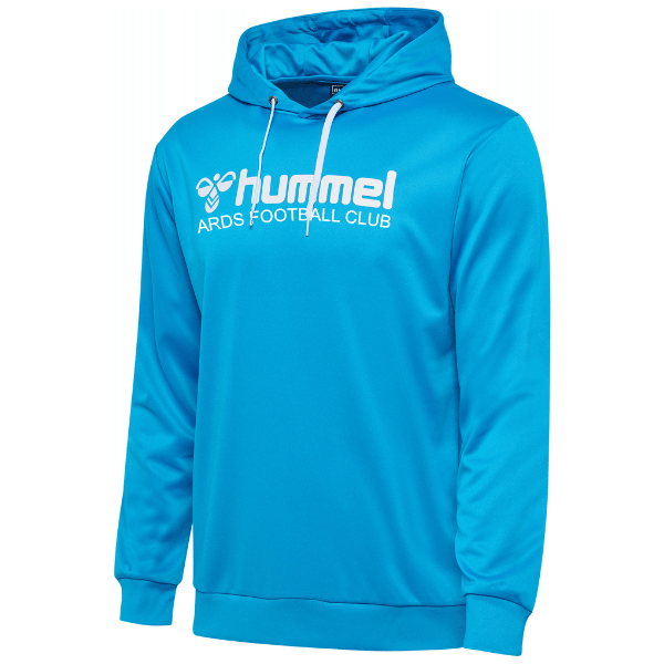 Funny Santa Hoodie