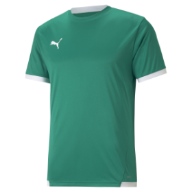 Puma teamLiga Jersey Pepper Green/White