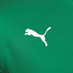 Puma teamLiga Jersey Pepper Green/White