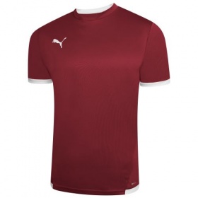 Puma teamLiga Jersey Condovan (Burgundy)/White