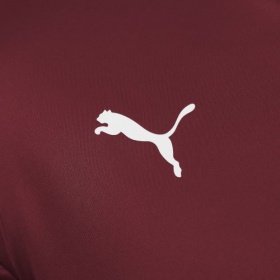 Puma teamLiga Jersey Condovan (Burgundy)/White