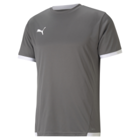 Puma teamLiga Jersey Smoked Pearl/White