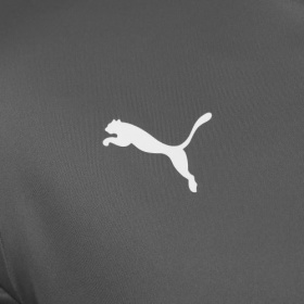 Puma teamLiga Jersey Smoked Pearl/White