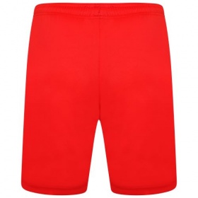 Puma teamLiga Shorts Red/White