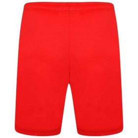 Puma teamLiga Shorts Red/White