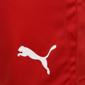 Puma teamLiga Shorts Red/White