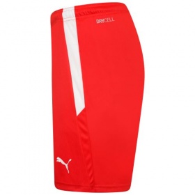 Puma teamLiga Shorts Red/White