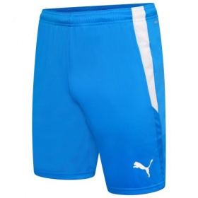 Puma teamLiga Shorts Red/White