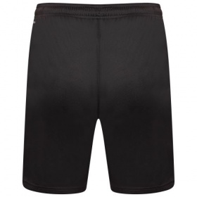 Puma teamLiga Shorts Black/White