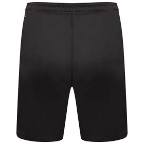 Puma teamLiga Shorts Black/White