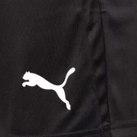 Puma teamLiga Shorts Black/White