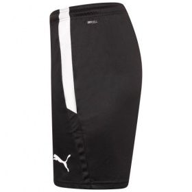 Puma teamLiga Shorts Black/White