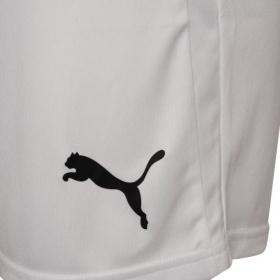 Puma teamLiga Shorts White/Black