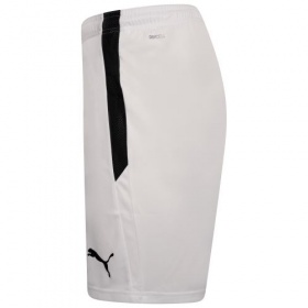 Puma teamLiga Shorts White/Black