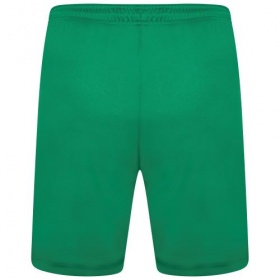 Puma teamLiga Shorts Pepper Green/White