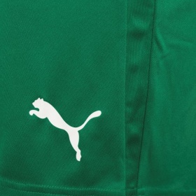Puma teamLiga Shorts Pepper Green/White