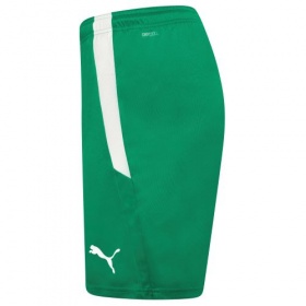 Puma teamLiga Shorts Pepper Green/White