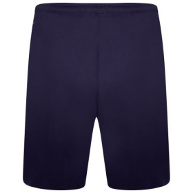 Puma teamLiga Shorts Navy/White