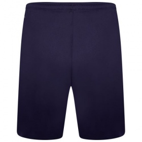 Puma teamLiga Shorts Navy/White