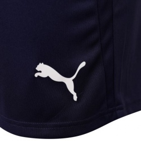 Puma teamLiga Shorts Navy/White