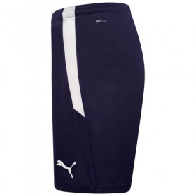 Puma teamLiga Shorts Navy/White