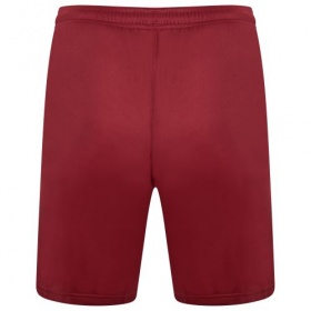 Puma teamLiga Shorts Burgundy/White