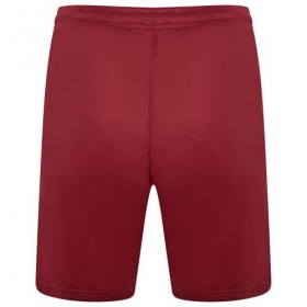 Puma teamLiga Shorts Burgundy/White