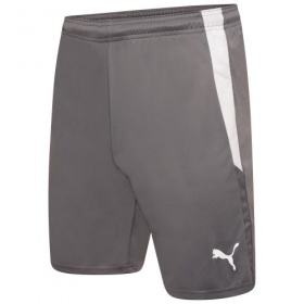 Puma teamLiga Shorts Smoked Pearl/White