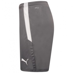 Puma teamLiga Shorts Smoked Pearl/White