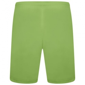 Puma teamLiga Shorts  Fizzy Lime/Black