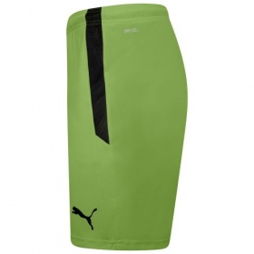 Puma teamLiga Shorts  Fizzy Lime/Black