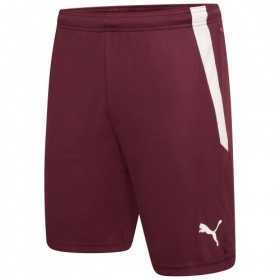 Puma teamLiga Shorts Grape Wine/White