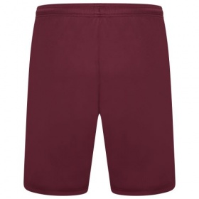 Puma teamLiga Shorts Grape Wine/White