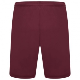 Puma teamLiga Shorts Grape Wine/White