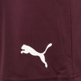 Puma teamLiga Shorts Grape Wine/White