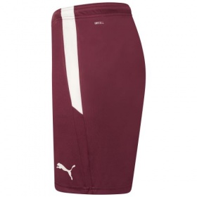 Puma teamLiga Shorts Grape Wine/White