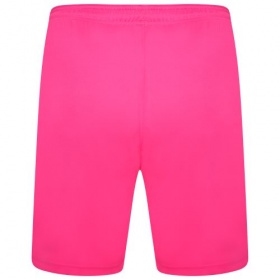 Puma teamLiga Shorts  Fluo Pink/Black