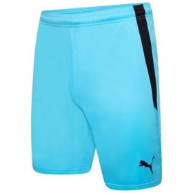 Puma teamLiga Shorts Blue Atoll/Black