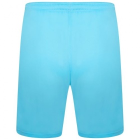 Puma teamLiga Shorts Blue Atoll/Black