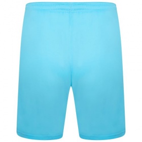 Puma teamLiga Shorts Blue Atoll/Black