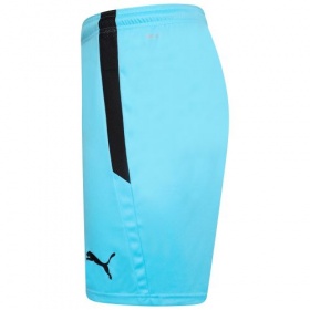 Puma teamLiga Shorts Blue Atoll/Black