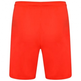 Puma teamLiga Shorts  NRGY Red/Black