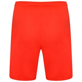 Puma teamLiga Shorts  NRGY Red/Black