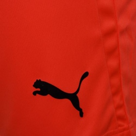 Puma teamLiga Shorts  NRGY Red/Black