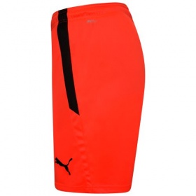 Puma teamLiga Shorts  NRGY Red/Black